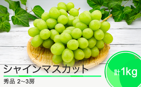 VC}XJbg Ԃǂ 킹1kg 2~3[ R`Y 2025NxY ߘa7N t[c ʎ  ry-busmx1000