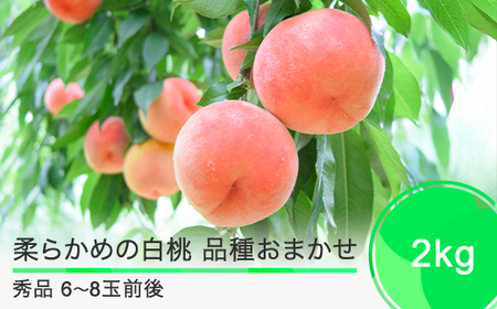 ys\z   _炩߂̔ i킨܂ 2kg R`Y 2026NY ߘa8NY t[c ʎ  ry-mohts2000