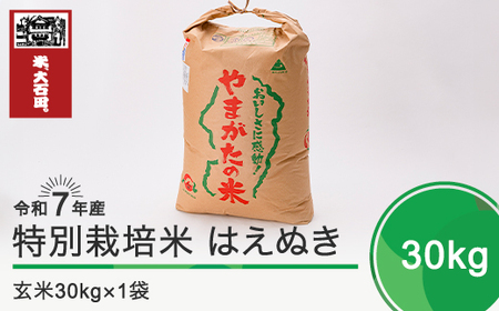 新米 米 はえぬき 30kg 令和7年産 [2025年11月上旬発送]大石田町産 特別栽培米 玄米 備蓄 防災 支援 農家 キャンプ 長期保存 先行予約 ※沖縄・離島への配送不可