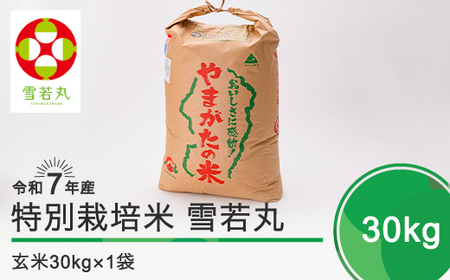 新米 米 雪若丸 30kg 令和7年産 [2025年11月上旬発送]大石田町産 特別栽培米 玄米 備蓄 防災 支援 農家 キャンプ 長期保存 先行予約 ※沖縄・離島への配送不可