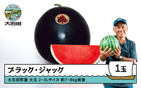  ubNWbN 2~3LTCY×1 2026NY ߘa8NY R`Y ΓcY k ʕ  t[c lC IXX ֗ O  n Y Yn  x  Mtg G
