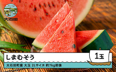 大玉 すいか しまむそう 2Lサイズ×1玉 2025年産 令和7年産 7月中旬より順次発送 すいか 山形県 大石田町 東北 果物 くだもの フルーツ 人気 オススメ 便利 グルメ 取り寄せ ご当地 特産 産地 直送 支援 贈答 ギフト GIFT