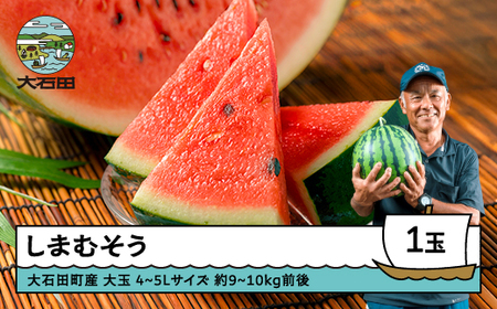   ܂ނ 4~5LTCY×1 2026NY ߘa8NY 7{菇 R`Y ΓcY k ʕ  t[c lC IXX ֗ O  n Y Yn 