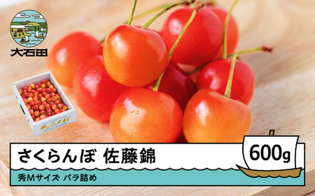   GMTCY ol 600g (600g×1) 2026NY ߘa8NY R`Y ӂ邳Ɣ[ ʕ  t[c Ԍ ①z st O  n Y Yn 