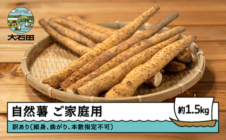 ፑ炿̎R ƒp 1.5kg 󂠂  O  n Y Yn lC IXX ƌv   x oz-ziwxx1500