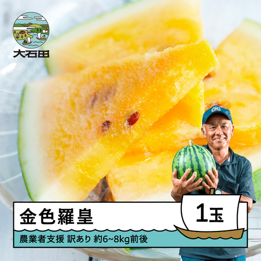 大玉すいか 金色羅皇 訳あり 約6~8kg前後×1玉 令和8年産 山形県産 gt-suwkr