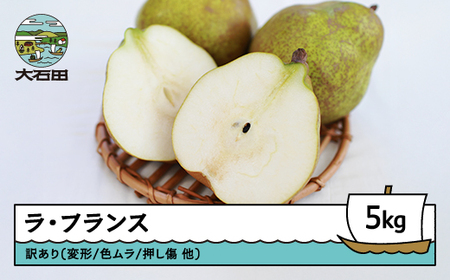 EtX m 󂠂 5kg 2025NY ߘa7NY t[c ʕ R` ns-lawax5