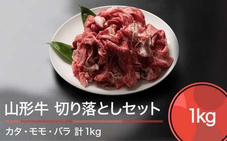 R` ؂藎ƂZbg A4ȏ v1000g lC IXX ֗ Ⓚ  BBQ ٓ y ƌv   x ʌ ja-gnkrx1000