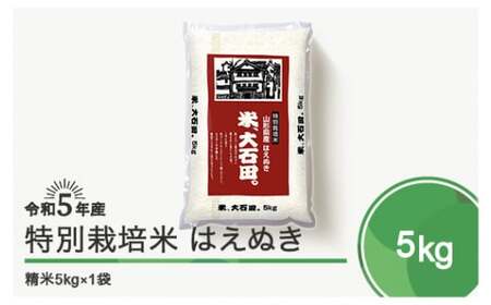 米 令和5年産 2023年産 はえぬき 5kg 大石田町産 特別栽培米 精米 ja-hasxa5