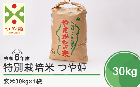 新米 令和6年産 米 つや姫 30kg 大石田町産 特別栽培米 玄米 備蓄 防災 支援 農家 業務用 ※沖縄・離島への配送不可 ja-tsgxb30