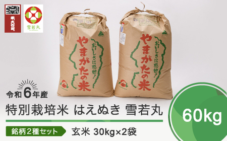 新米 令和6年産 米 はえぬき 雪若丸 各30kg 計60kg 大石田町産 特別栽培米 玄米 備蓄 防災 支援 農家 業務用 ※沖縄・離島への配送不可 ja-hygxb60