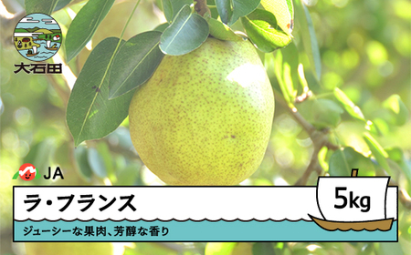 EtX m tX G 5kg 2025NY ʕ t[c ʎ ja-laxxx5 Eւ̔zs