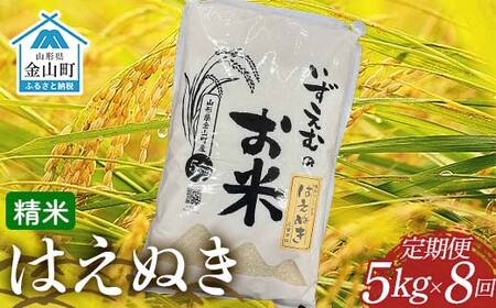 先行予約 令和7年産 金山町産はえぬき 定期便 5kg×8回(40kg)米 お米 白米 ご飯 精米 ブランド米 送料無料 東北 山形 金山町