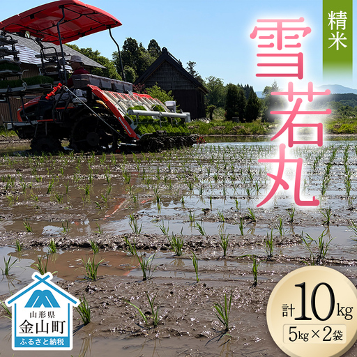 ＜先行予約＞令和8年産【精米】雪若丸10kg（5kg×2）（マイスター監修） 米 お米 白米 ご飯 ブランド米 山形 金山町 F4B-0770