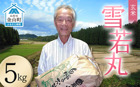 [先行予約]令和8年産[玄米]雪若丸5kg(マイスター監修) 米 お米 白米 ご飯 ブランド米 山形 金山町