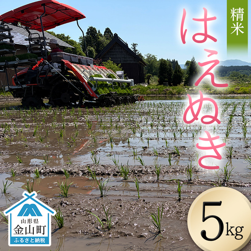 ＜先行予約＞令和８年産【精米】はえぬき5kg （マイスター監修） 米 お米 白米 ご飯 ブランド米 山形 金山町  F4B-0812