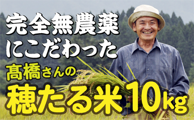F031-001　特別栽培米　穂たる米コシヒカリ　10㎏