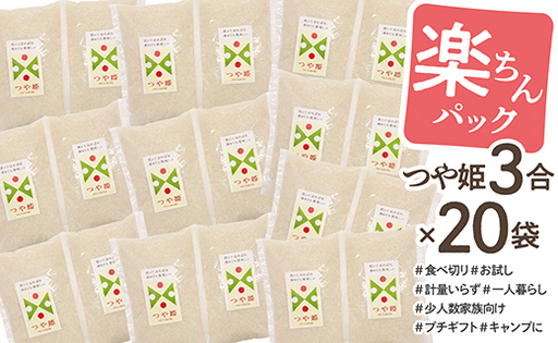 令和7年産 山形県産 つや姫 楽ちんパック 3合×20袋 計9kg