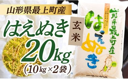 山形県産 玄米 はえぬき 20㎏ (10㎏×2袋)