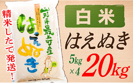 yߘa7NYzyāzR`Y͂ʂ20kg