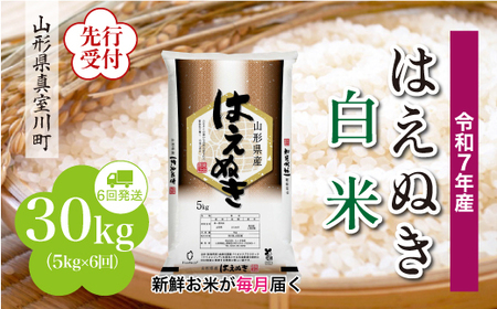 ߘa7NYĐst ߘa8N4{蔭 ^쒬Y ͂ʂyāz30kg (5kg×6)@YYR7H3005M-H2604A