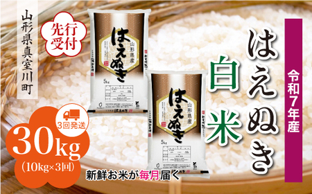 ߘa7NYĐst ߘa8N4{蔭 ^쒬Y ͂ʂyāz30kg (10kg×3)@YYR7H3010M-H2604A