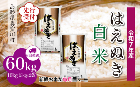 ߘa7NYĐst ߘa8N3{蔭 ^쒬Y ͂ʂyāz60kg(10kg×6)@YYR7H6010M-H2603A