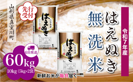 ߘa7NYĐst ߘa8N1{蔭 ^쒬Y ͂ʂyāz60kg(10kg×6)@YYR7H6010M-M2601C