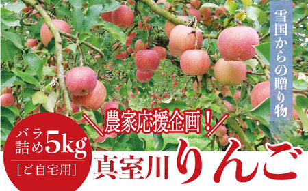 _ƉI^񂲁@ol5kgmpn@TR011-2025