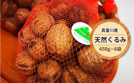 ^Y@VR݁@450×6 @ SA204-2025