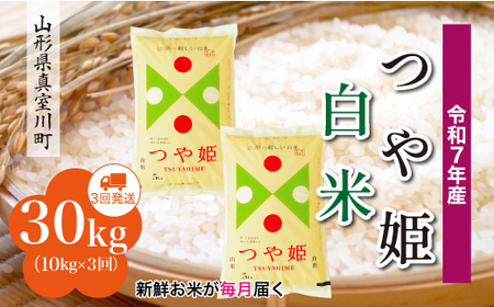 ߘa7NYā ߘa8N6{蔭 ʍ͔| Pyāz30kg (10kg×3) R`^쒬@RR7T3010M-H2606A