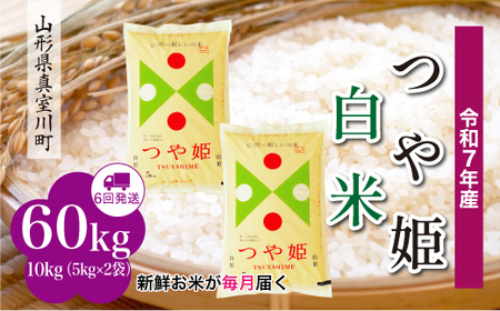 ߘa7NYā ߘa8N3{蔭 ʍ͔| Pyāz60kg(10kg×6) R`^쒬@RR7T6010M-H2603C