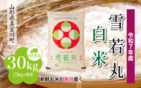 ߘa7NYā ߘa8N3{蔭 ہyāz30kg (5kg×6) R`^쒬@RR7Y3005M-H2603A