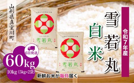 ߘa7NYā ߘa8N4{蔭 ہyāz60kg(10kg×6) R`^쒬@RR7Y6010M-H2604A