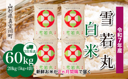 ߘa7NYā ߘa8N5{蔭 ہyāz60kg(20kg×3) R`^쒬@RR7Y6020M-H2605B