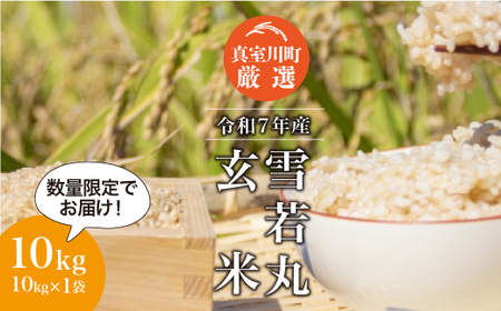 [数量限定] 令和7年産 雪若丸 [玄米] 10kg (10kg×1袋) 山形県真室川町 