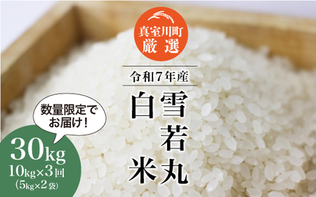[数量限定] 令和7年産 雪若丸[白米]30kg定期便 (10kg×3回) 山形県真室川町 ◆NR7Y3010M-H9999