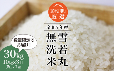 [数量限定] 令和7年産 雪若丸[無洗米]30kg定期便 (10kg×3回) 山形県真室川町 ◆NR7Y3010M-M9999