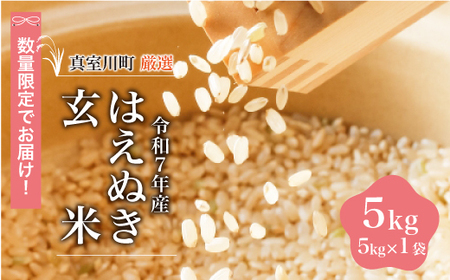 [数量限定] 令和7年産 はえぬき [玄米] 5kg (5kg×1袋) 山形県真室川町 