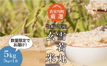 [数量限定] 令和7年産 雪若丸 [玄米] 5kg (5kg×1袋) 山形県真室川町 