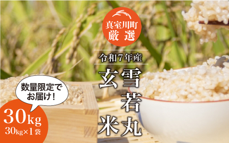 ＜数量限定＞ 令和7年産 雪若丸 【玄米】 30kg （30kg×1袋） 山形県真室川町 ＜沖縄県・離島配送不可＞　◆SR7Y30M-G9999