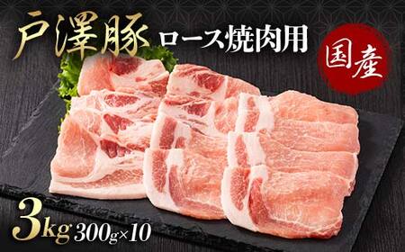 R` ˑ򑺎Y V؈Ԉ炿 [X 3kg(300g×10) ēp ؓ   |[N Y uh Ⓚ BBQ o[xL[ p 蕨 v[g p ƒp  F7W-0065