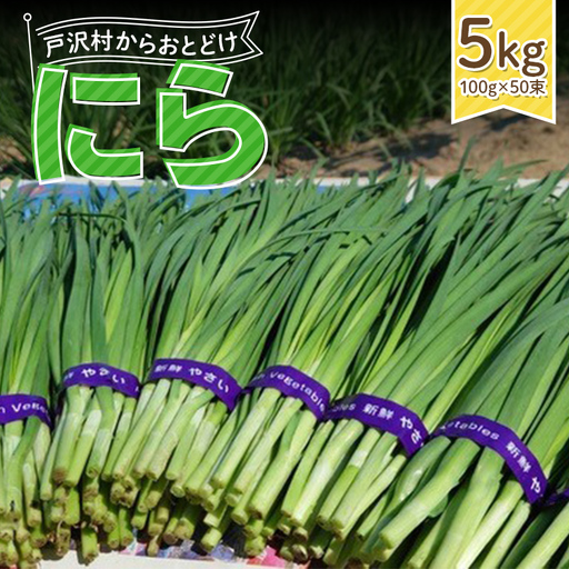 山形県 戸沢村産 にら 5kg(50束) 2026年5月下旬から順次発送 国産 野菜 やさい 韮 ニラ 料理 餃子 炒め物 惣菜 自宅 家庭 F7W-0340