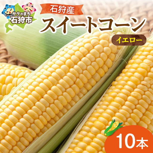 石狩産スイートコーン(色:イエロー) 10本 | 北海道産 とうもろこし 北海道 石狩市
