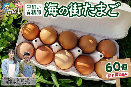 飛ぶ鳥農場　海の街たまご 60個 ｜ 鶏卵 平飼い 有精卵 北海道石狩市