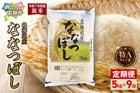 yցzkCY ȂȂڂ 5kg 9