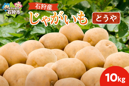 石狩産 じゃがいも(とうや) 10kg[9月発送]