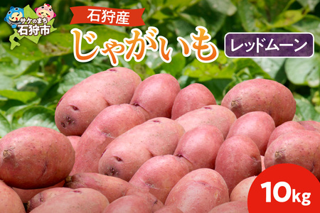 石狩産 じゃがいも(レッドムーン) 10kg[9月発送]