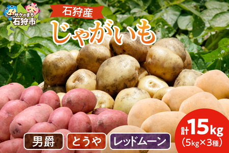 石狩産 じゃがいも3種セット(男爵・とうや・レッドムーン) 15kg[9月発送]