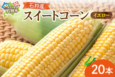 石狩産スイートコーン(色:イエロー) 20本[8月〜9月発送]